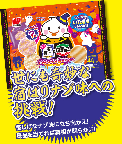 世にも奇妙な宿ぱりナゾ味への挑戦！
