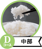 Dコース