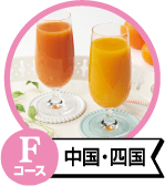 Fコース中国・四国