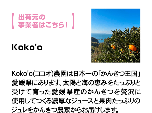 出荷元の事業者はこちら！ Koko'o Koko'o(ココオ)農園は日本一の「かんきつ王国」愛媛県にあります。太陽と海の恵みをたっぷりと受けて育った愛媛県産のかんきつを贅沢に使用してつくる濃厚なジュースと果肉たっぷりのジュレをかんきつ農家からお届けします。