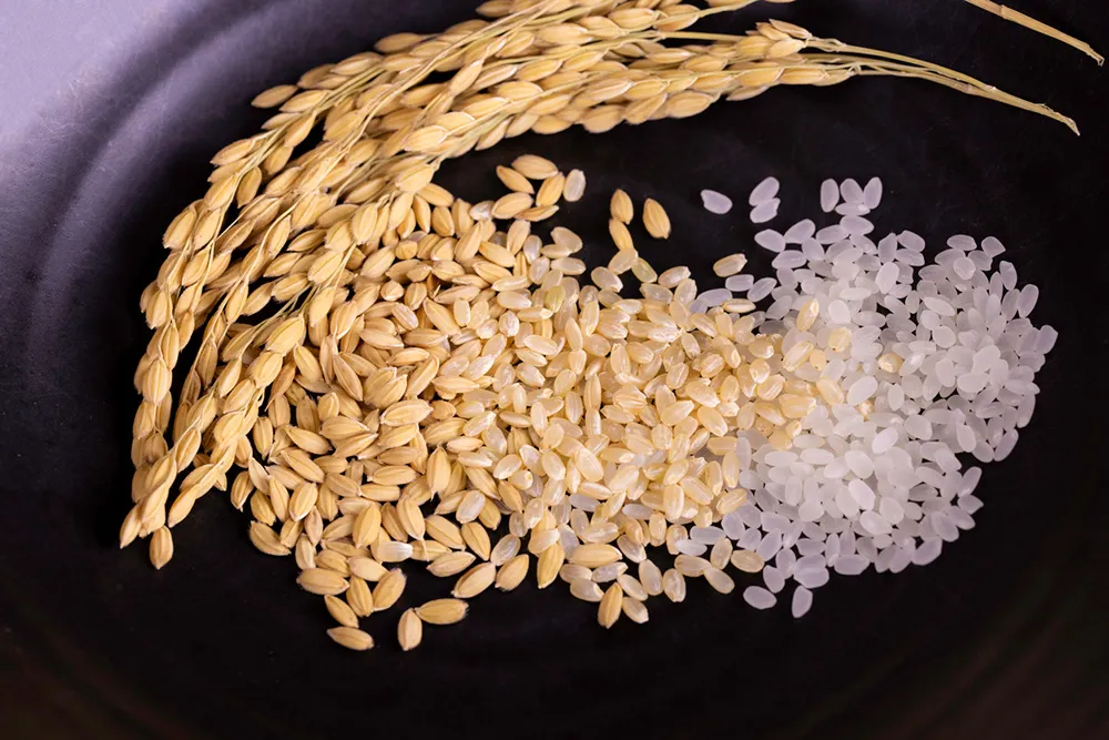 おせんべいおかき